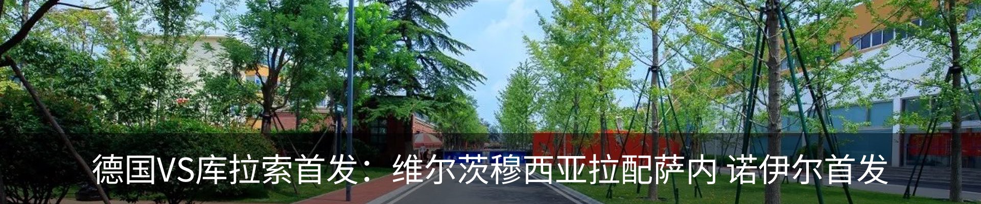 新闻动态