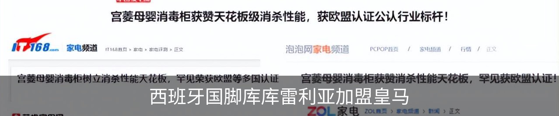 新闻动态